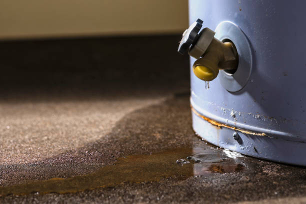 Best Carpet water damage restoration  in New Mford, IL