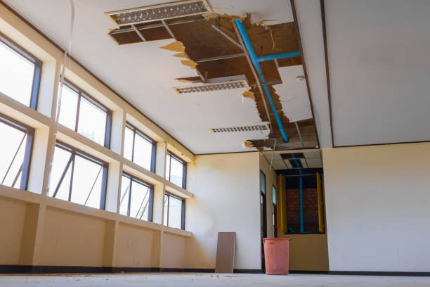 Best Flood damage cleanup  in New Mford, IL