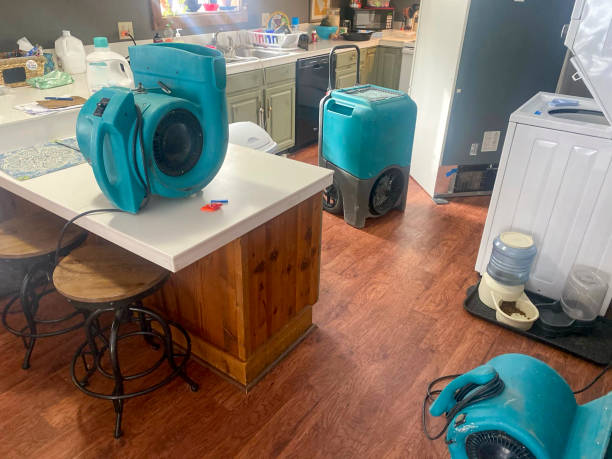 Best Emergency water damage restoration  in New Mford, IL