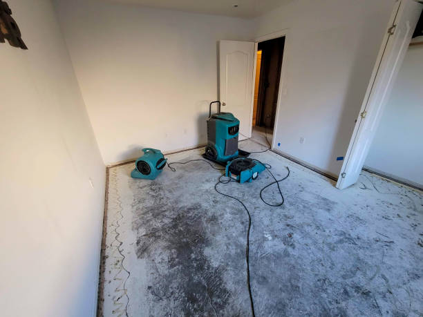 Best Residential water damage restoration  in New Mford, IL
