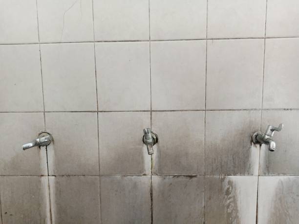 Best Water damage restoration near me  in New Mford, IL
