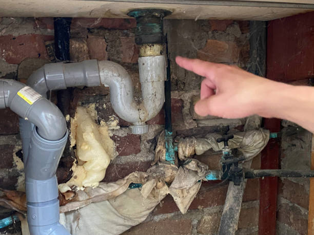 Best Fire Damage Restoration  in New Mford, IL