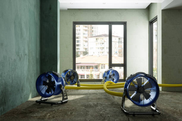 Best 24/7 water damage repair  in New Mford, IL