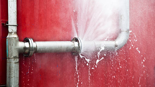 Best Emergency water extraction  in New Mford, IL